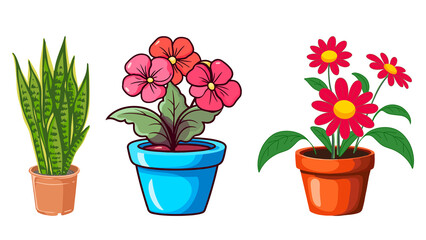 Three potted plants with colorful flowers and leaves