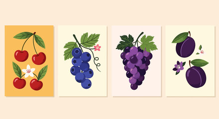 Four vibrant illustrations of fresh fruits including cherries, blueberries, grapes, and plums on individual light backgrounds.