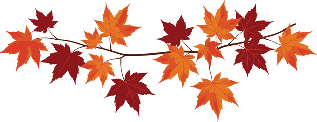 Autumn maple leaves branch illustration, red and orange fall foliage, seasonal nature design, realistic vector artwork for decoration and background © Creative Vector 