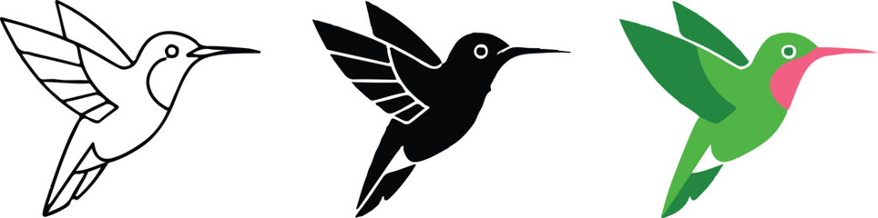 hummingbird three stage illustration from sketch to color vector