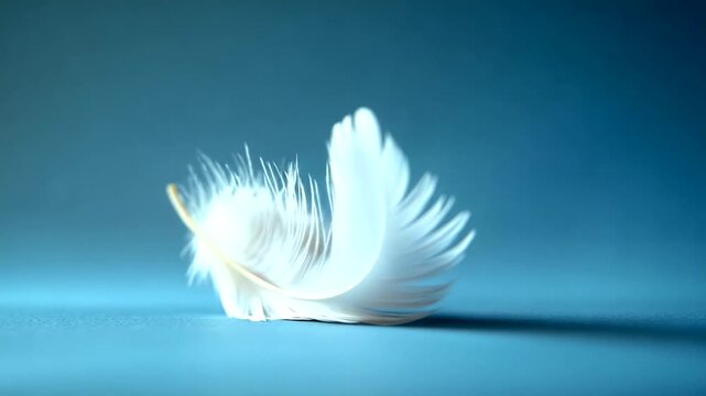 Delicate white feather resting on soft blue backdrop