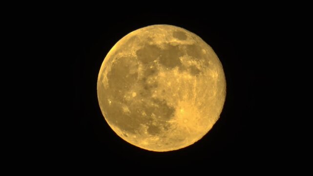 Silhouette Bird Soaring Across Supermoon at Night