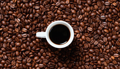 Fresh Brewed Coffee in White Cup Surrounded by Coffee Beans