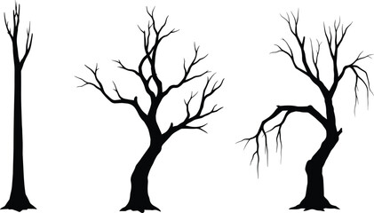 Silhouette of three bare trees without leaves, natural winter illustration, forest landscape element for design, nature silhouette art collection