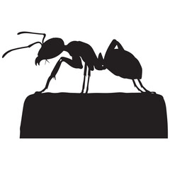 Silhouette of a black ant standing on a dark surface