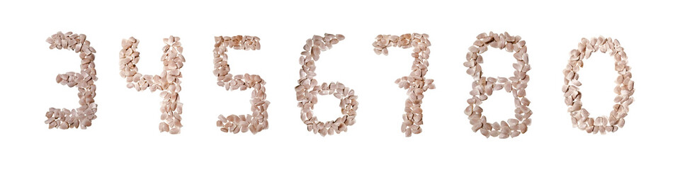 Handmade seeds decorated number from 0 to 8 on white background 