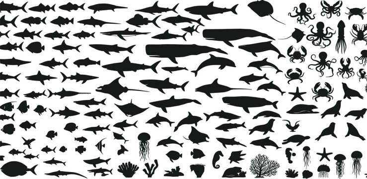 Silhouette collection of various marine animals including fish, sharks, dolphins, whales, jellyfish, and octopus for underwater theme