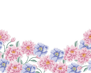 Watercolor Pink Chrysanthemum and Anemone Flower Background