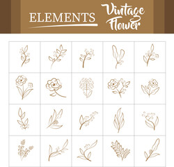 Floral Line Art Vector &ndash; Minimal Botanical Flower & Leaf Illustrations