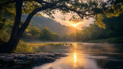 A serene sunrise over a river, with golden light illuminating the water and trees. The sun peeks through the branches of a large tree, creating a beautiful silhouette.