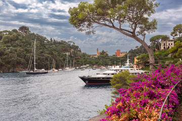 Coastal view with pine trees, villas and yacht in Portofino, Italy, Liguria region