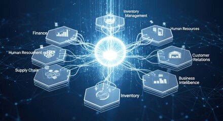 A digital illustration depicting a network of interconnected hexagonal shapes, each representing a different business function or process. 