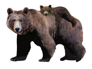 熊（親子連れ）おんぶ © あすなろ挿絵店