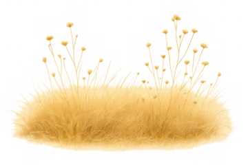 Fluffy tuft of fur or moss showing delicate yellow flowers with thin stems on a transparent background