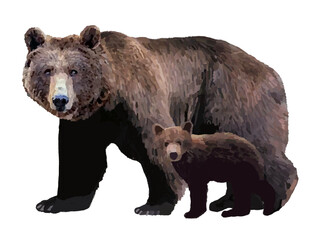 Fototapeta premium 熊（親子連れ）小熊一頭