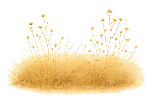 Fluffy tuft of fur or moss showing delicate yellow flowers with thin stems on a transparent background