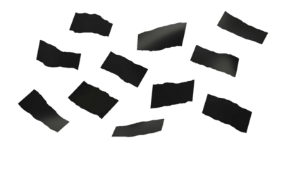 Scattered small rectangular fragments of black paper, scattered and dispersed in a random pattern against a white background