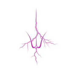 Pink Lightning Bolt Branching Abstract Shape isolated on a transparent background
