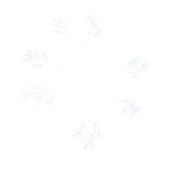 White branching snowflake pattern on black background isolated on a transparent background