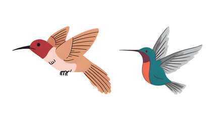 bird vector illustration