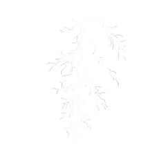 White lightning bolt branches on black background isolated on a transparent background 