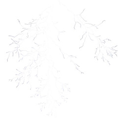 White lightning bolt branches on black background isolated on a transparent background 