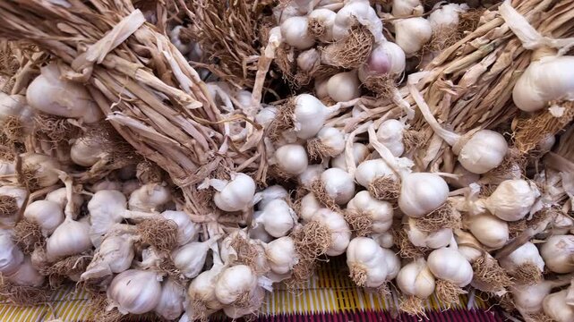 Fresh garlic harvested in a local market
