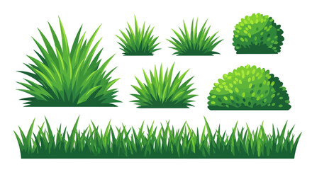 Fototapeta premium Assortment of green grass and bush elements