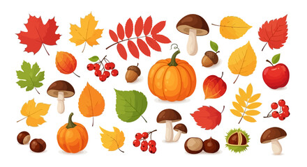 Autumn Harvest Colorful Leaves, Pumpkins, and Mushrooms Illustration