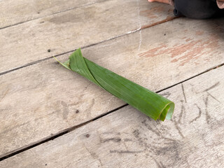 Opogona subcervinella,Banana worms