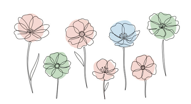 Delicate Line Art of Flowers with Soft Pastel Accents, botanical illustration, minimalist floral artwork