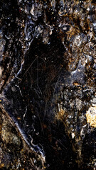 Natural close-up texture of sacred rocks at Jabal Shafa and Marwah in Masjid Al-Haram, Mecca, showing detailed stone surface and earthy tones.
