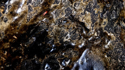 Natural close-up texture of sacred rocks at Jabal Shafa and Marwah in Masjid Al-Haram, Mecca, showing detailed stone surface and earthy tones.