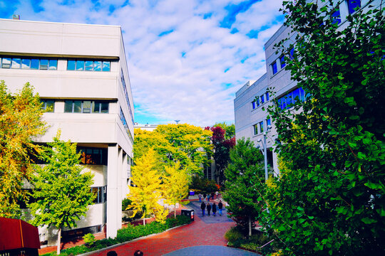 Boston, Massachusetts, USA: 10 25 2025: The fall foliage landscape and homecoming and halloween festival of Northeastern University 