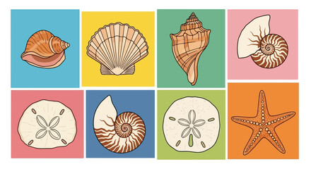 A colorful collection of illustrated sea shells and marine life on a grid of bright backgrounds.