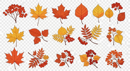Colorful Autumn Leaves Vector Set Seasonal Illustration Elements
