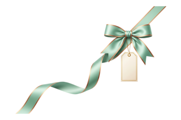 Mint Green Gift Ribbon Bow with Blank Tag Isolated on White , Transparent ,Png for Christmas Holiday Birthday Present Decoration