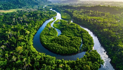 Serene River Meandering Through Lush Green Rainforest Under Golden Hour Sunlight Reflecting on Water