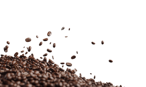 Scattered coffee beans isolated on transparent background, displaying their rich brown color and characteristic shape, often used for brewing a stimulating beverage
