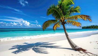 Palm Tree on a Tropical Beach at Sunset with Ocean Waves Reflecting Warm Light and Clear Blue Sky