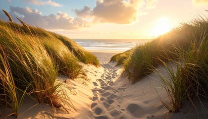 Path through coastal sand dunes with tall grasses leading to the ocean at golden hour with sun flare and gentle waves under a cloudy sky