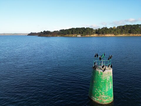 Cormorants on a concrete maritime beacon - Cormorans sur une balise maritime en b&eacute;ton