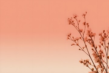 minimal gradient background in warm peach and cream tones, clean elegant aesthetic