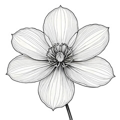 Detailed black and white line art of a single flower with delicate petals and fine veins on a black background. Elegant botanical illustration perfect for coloring books, design, and art prints.