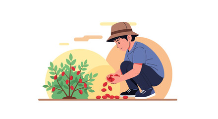 A Person Harvesting Berry-Like Fruits From A Plant in A Serene, Minimalist Illustration