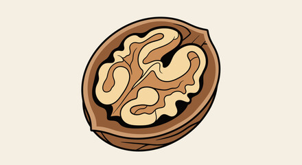 A Split Walnut Visual Depiction With Clean Lines And Attractive Coloring