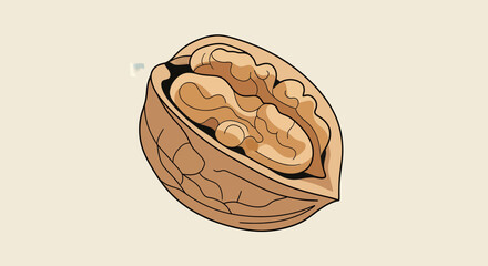 A Split Walnut Showing the Juicy Kernels with a Clean and Modern Aesthetic
