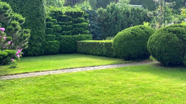 A bright, well-maintained formal garden with a lush green lawn, a brick path, and various manicured evergreen shrubs, including spherical topiary and layered hedges, on a sunny day