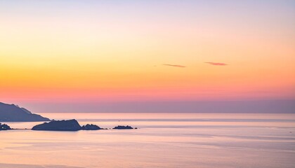 Purple flowers glowing in warm sunset light with shallow depth of field