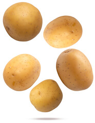 high-quality realistic photograph of five whole, raw, small baby potatoes floating or falling dynamically against a deep black studio background.